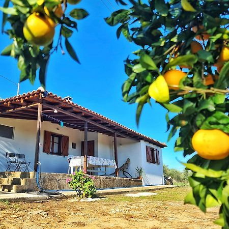 Anastasios House Lägenhet Koróni Exteriör bild